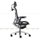 Ghế công thái học GTChair Dvary Butterfly Pro 2024