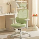 Ghế công thái học Manson E3 Lite