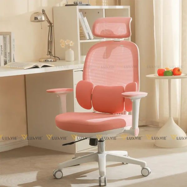 Ghế công thái học Manson E3 Lite