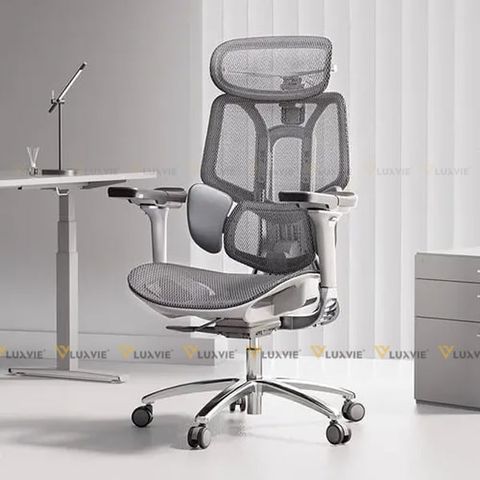 Ghế công thái học Manson E3 Pro (không gác chân)