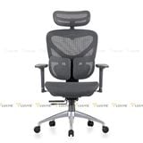 Ghế công thái học Manson Iris V2