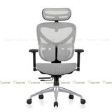 Ghế công thái học Manson Iris V2