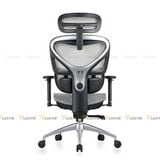 Ghế công thái học Manson Iris V2