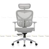 Ghế công thái học Manson Iris V2