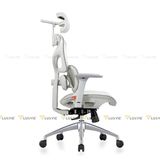 Ghế công thái học Manson Iris V2