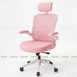 Ghế công thái học Manson Regal