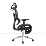 ghế công thái học