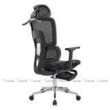 ghế công thái học