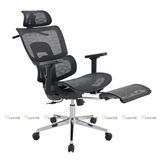 ghế công thái học