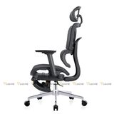 Ghế công thái học TKN009