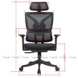 Ghế công thái học TKN009