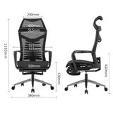 Ghế công thái học TKN05