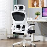 Ghế công thái học TKHK18