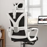 Ghế công thái học TKK14