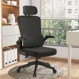 Ghế công thái học TKK21+