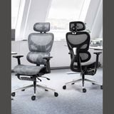 Ghế công thái học TKN09