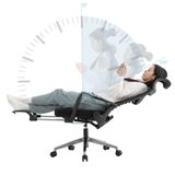 Ghế công thái học TKN05