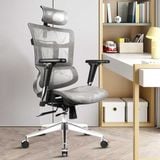 Ghế công thái học HSTP003