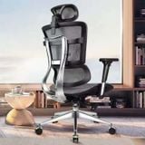 Ghế công thái học HSTP003