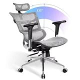 Ghế công thái học HSTP003