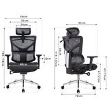 Ghế công thái học HSTP004