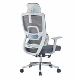 Ghế công thái học HSVP049