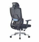 Ghế công thái học HSVP049