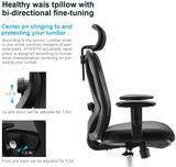 Ghế công thái học Sihoo M18