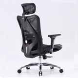 Ghế công thái học Sihoo M57