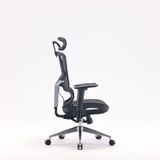 Ghế công thái học Sihoo M90