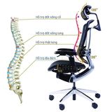 Ghế công thái học GTChair Marrit X