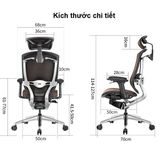 Ghế công thái học GTChair Marrit X