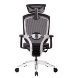 Ghế công thái học GTChair Marrit X