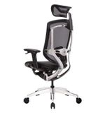 Ghế công thái học GTChair Marrit X