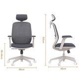 Ghế công thái học Manson T21 Pro