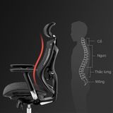 Ghế công thái học Sihoo V1