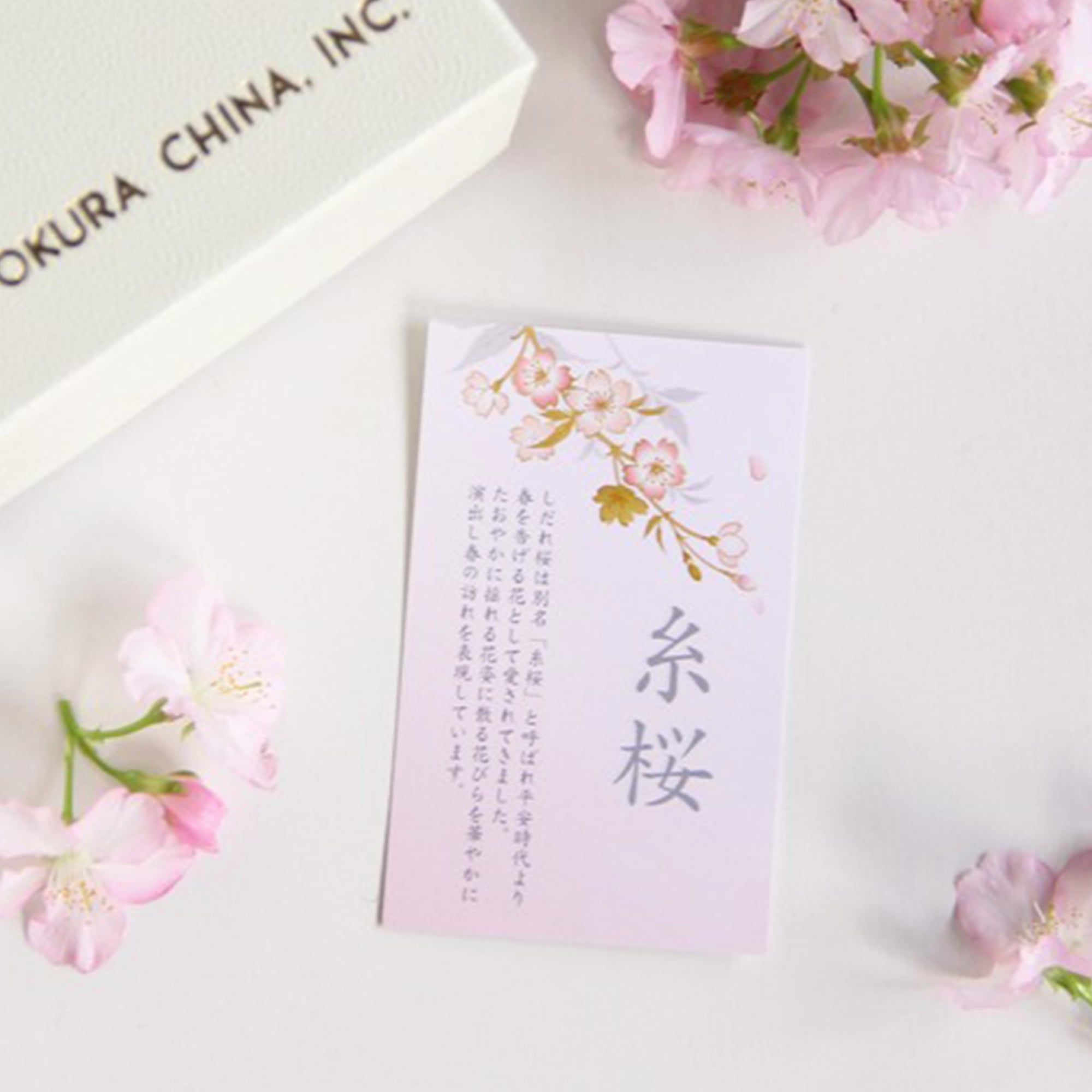  Chén trà (tách trà)  "Ito Sakura" dung tích 235 ml kèm đĩa lót sứ Nhật Bản | Sakura Series A682-1 - 1C 
