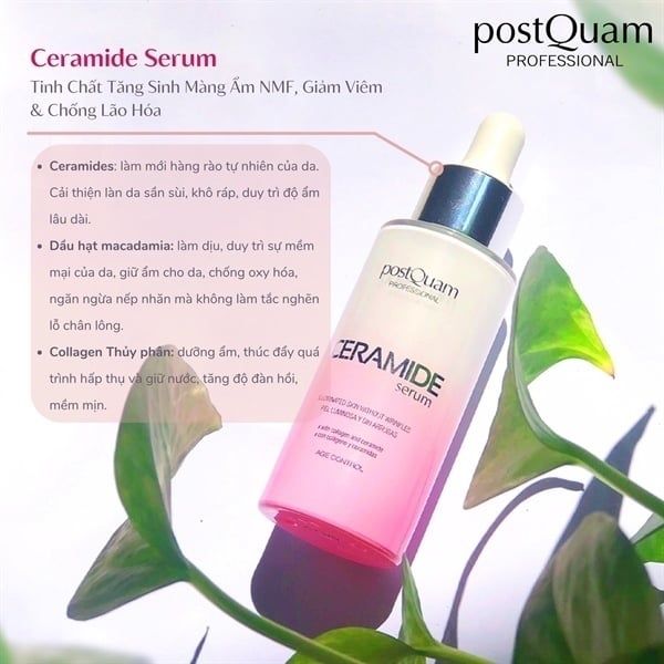 POSTQUAM_Q98 Tinh Chất Tái Tạo Phục Hồi Và Trẻ Hóa Da Ceramide Serum 30ml