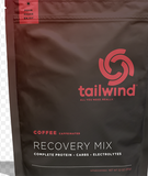  Bột Phục Hồi Cơ Bắp Tailwind Recovery Rebuild - 20 serving 