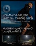  Đèn Đội Đầu Chạy Trail Nitecore UT27 Pro - 800 Lumens 