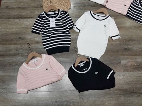 ÁO LEN LACOSTE CỔ VIỀN 3 MÀU