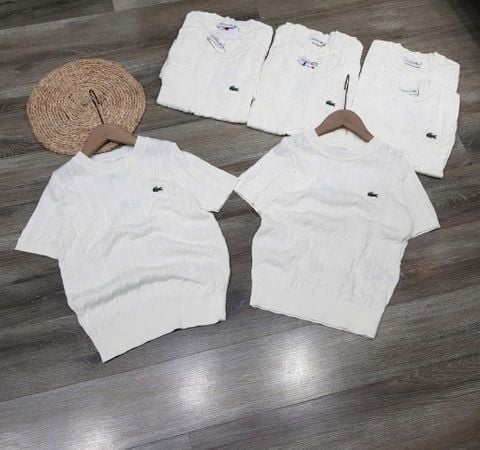 ÁO LEN LACOSTE 1 MÀU TRẮNG