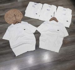 ÁO LEN LACOSTE 1 MÀU TRẮNG