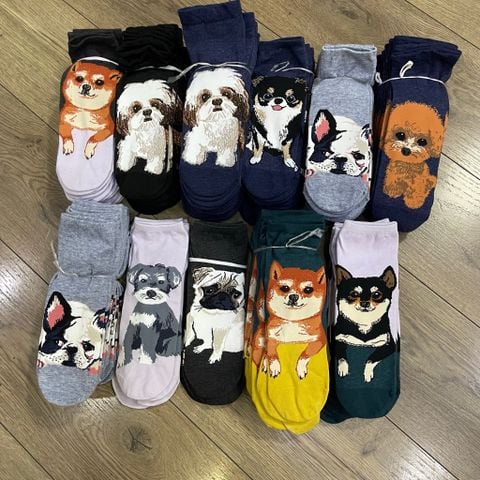 VƠ CÚN NHIỀU MÀU