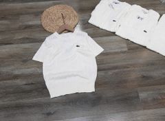 ÁO LEN LACOSTE 1 MÀU TRẮNG