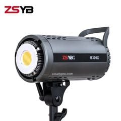  ZSYB B300X 200W 