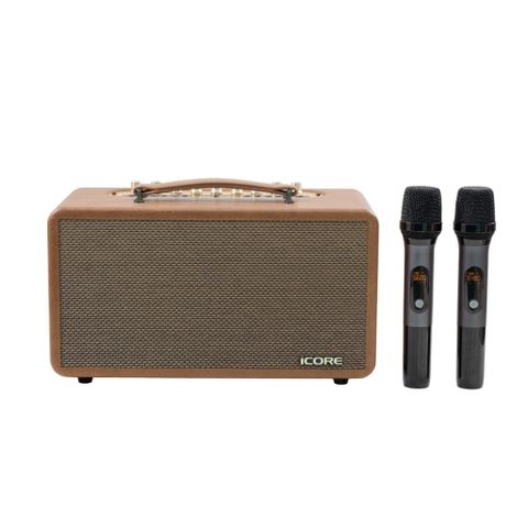 Bộ Loa Karaoke Xách Tay iCore P8