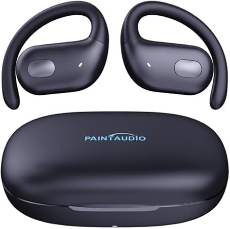 Tai Nghe PAINTAUDIO EarMate 1