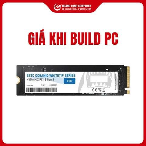 SSD NVMe SSTC Oceanic Whitetip E130 Plus 256GB Gen3 3200MB/s