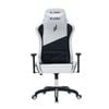 Ghế Gaming EDRA Wisdom EGC231 Đen Trắng